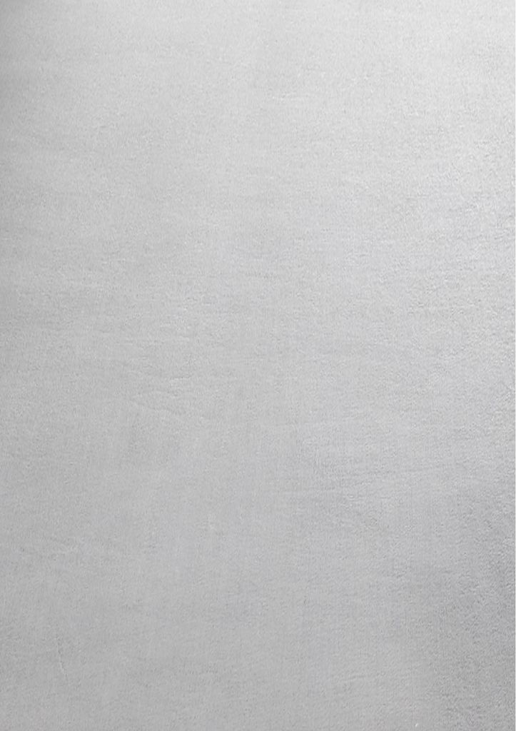 Teppium Waschbarer Kurzflor Teppich - Rutschfest, Einfarbig & Weich im modernen Stil, Grösse: 80x250 cm