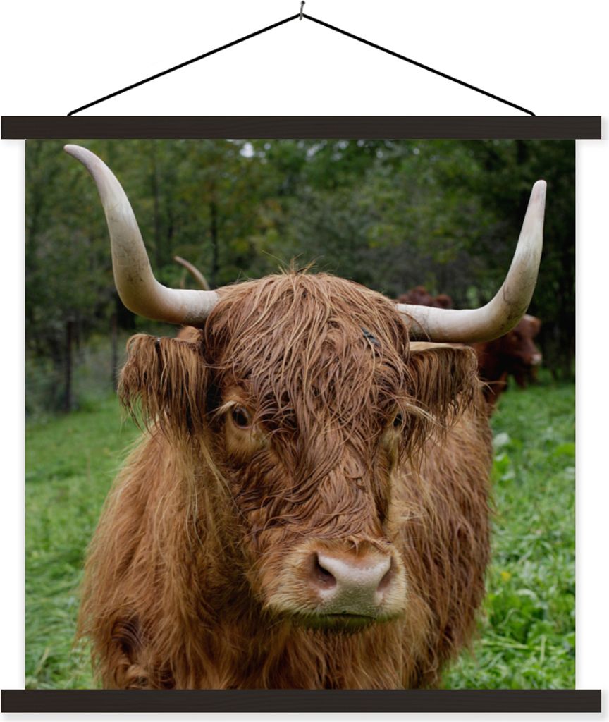 MuchoWow Textilposter Schottische Hochlandrind - Tiere - Gras 120x120 cm mit schwarzem Rahmen - Aufhängungsset