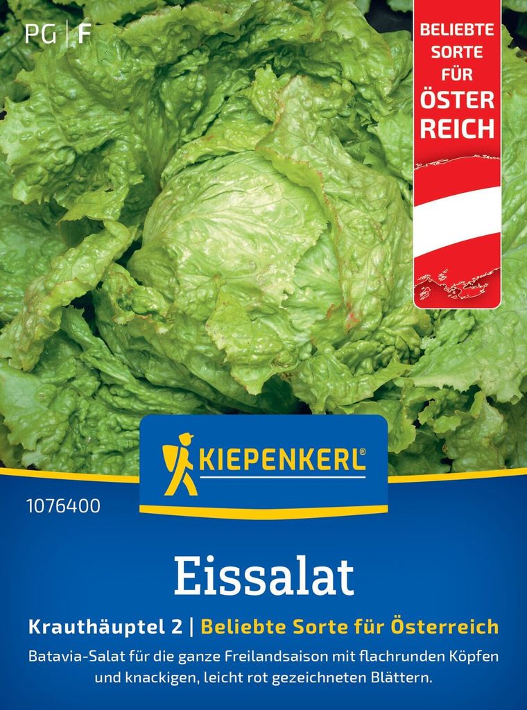 Eissalat Grazer Krauthäuptel 2 (Regional AT) | Eissalatsamen von Kiepenkerl