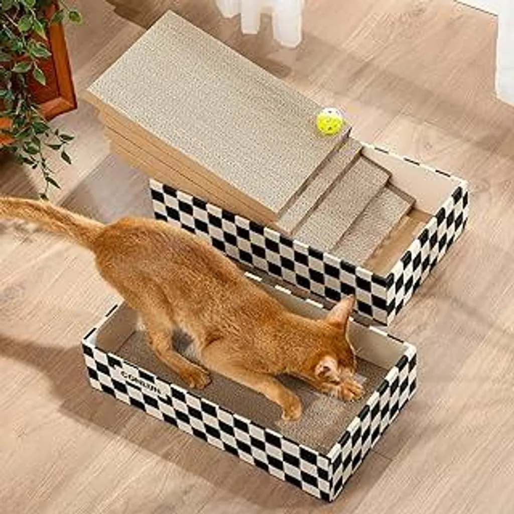 Conlun Tiragraffi Gatto 2 in 1: 4 Assi e Scatola Gioco in Cartone