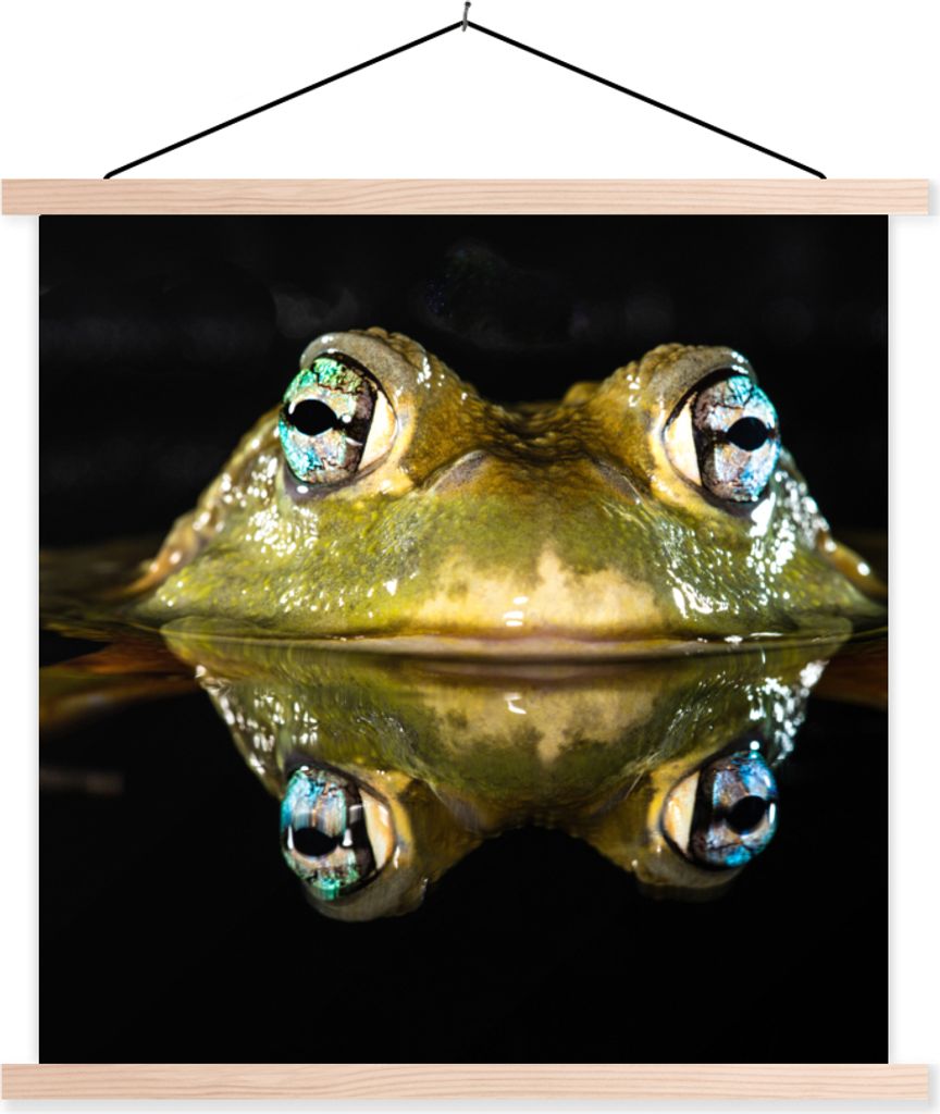 MuchoWow Textilposter Frosch - Augen - Porträt 40x40 cm mit holzfarbenen Rahmen - Posterleiste