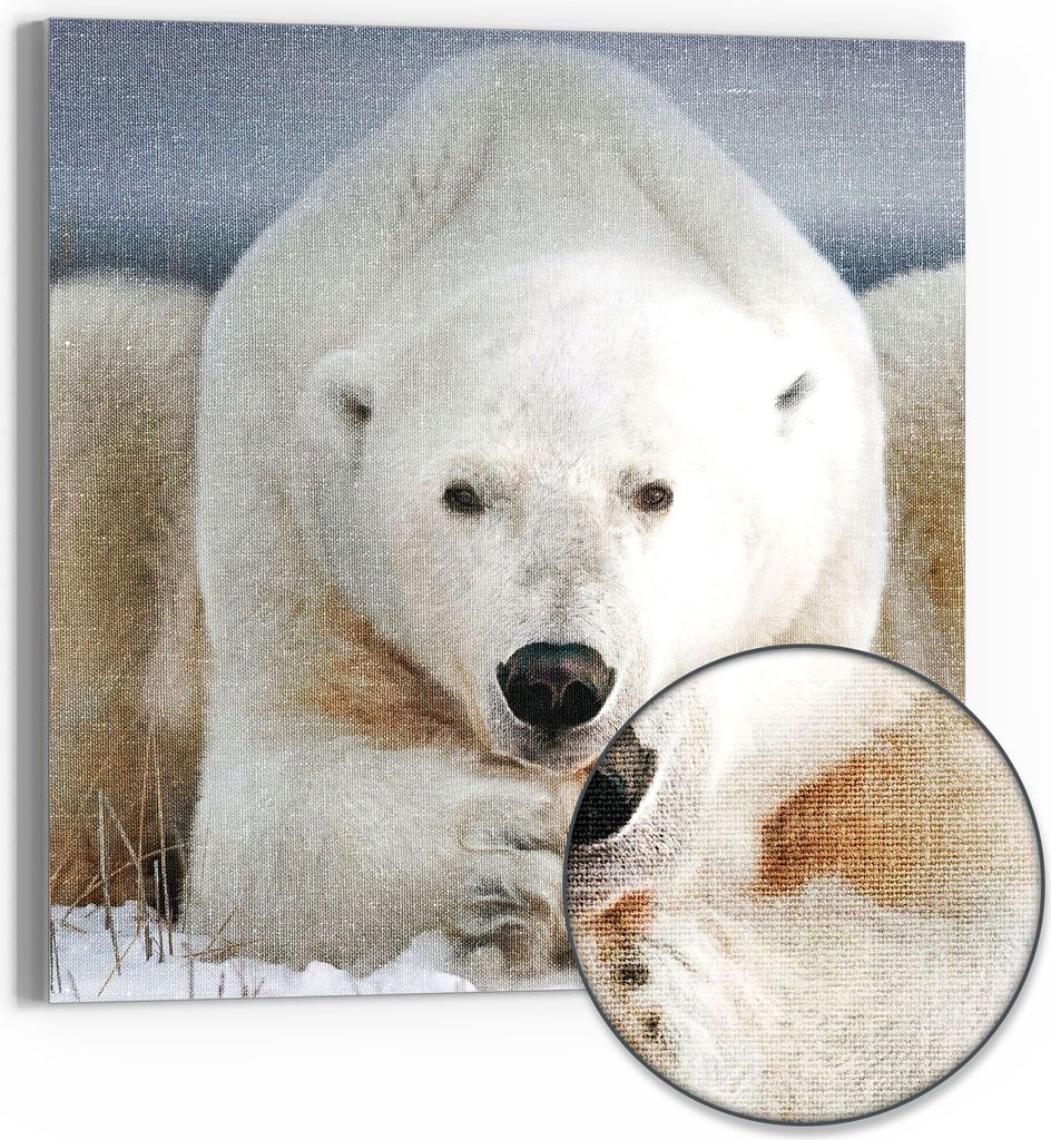 DEQORI Hybrid Leinwand Bild 50x50 cm 'Polare Stille' Wandbild Glas flach modern