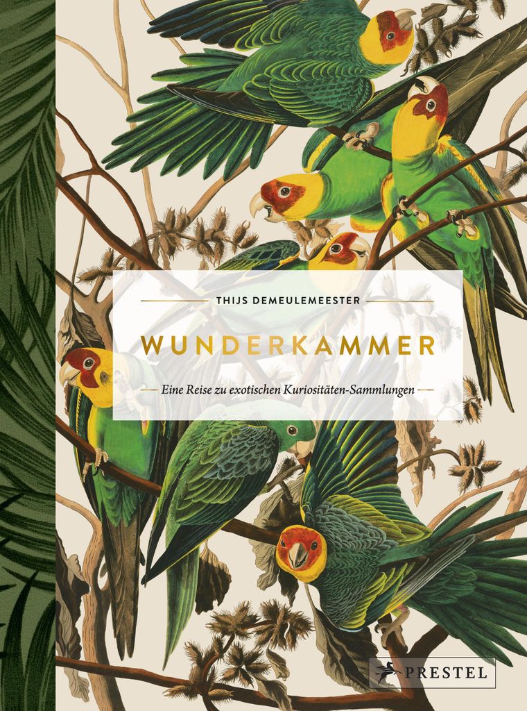 Wunderkammer