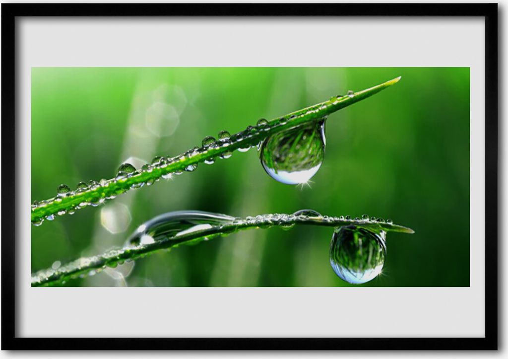 Bild 100x70 MDF-Rahmen Wandkunst Gras-Tau-Tropfen