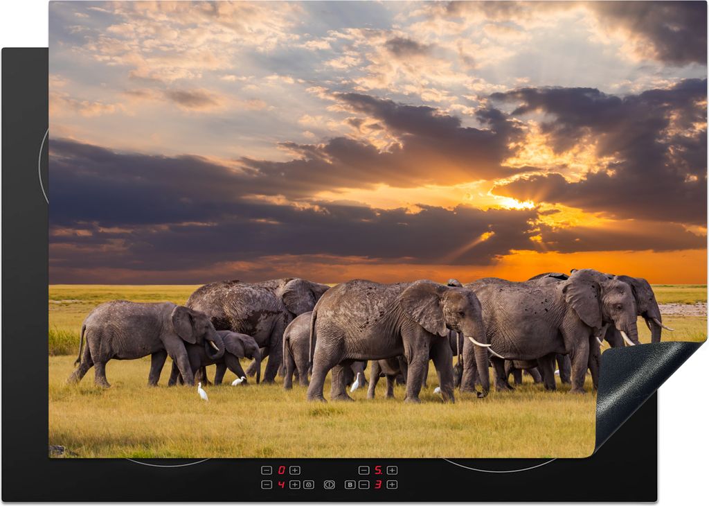 KitchenYeah Herdabdeckplatte Elefant - Tiere - Gras - Sonnenuntergang - Natur , 75x52cm, Küche Deko, Glaskeramikkochfeld Herdabdeckung, Abdeckpl...