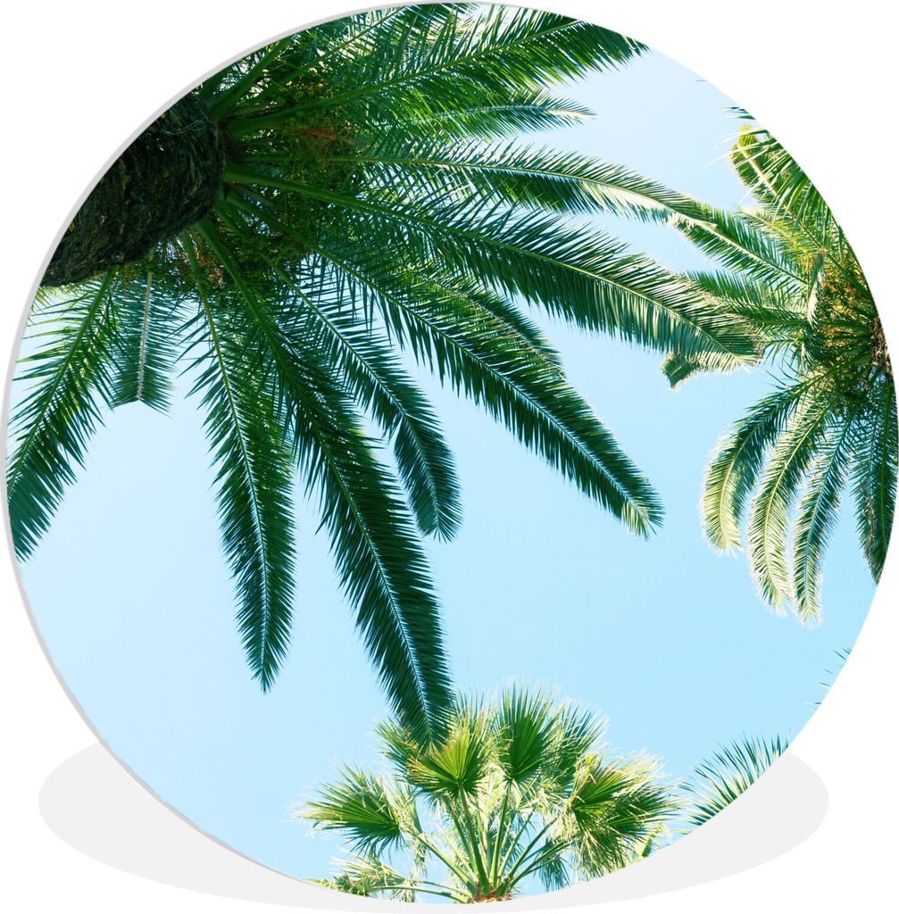 MuchoWow Rundes Wandbild - Runde Bilder Palmwedel - Himmel - Sommer - Tropisch Ø 90 cm Kreis Wanddekoration Kunststoff - Wandkreis - Wandschmuck...