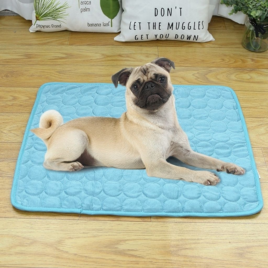 Leisuremix Kühlmatte Für Hunde 37x25cm - Selbstkühlende PCM Technologie | Für Haustiere Beige