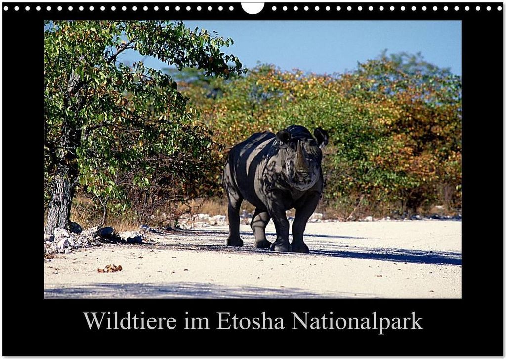Wildtiere im Etosha Nationalpark (Wandkalender 2026 DIN A3 quer), CALVENDO Monatskalender