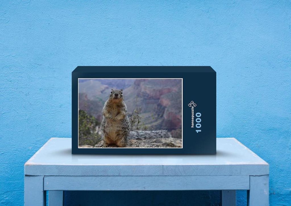 hansepuzzle 29366 - Murmeltier Puzzle, 1000 Teile, Tierwelt, 60,0 x 46,0cm mit hochwertiger Aufbewahrung, Kartonbox und wiederverschließbarem Beutel