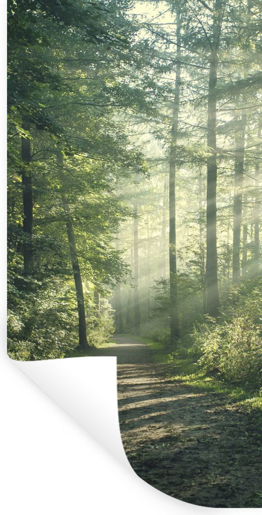 MuchoWow Wandtattoo Wandsticker Wandaufkleber Wald - Weg - Sonne - Bäume - Grün - Natur 40x80 cm Selbstklebend und Repositionierbar - Repositio...