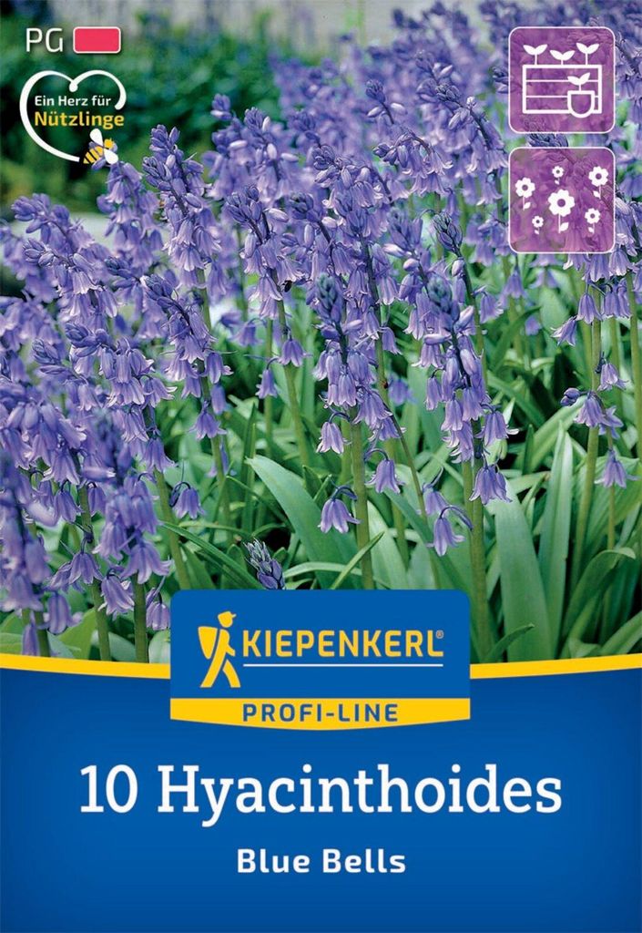 Kiepenkerl Herbstblumenzwiebel Profi-Line Hasenglöckchen Produktbild 