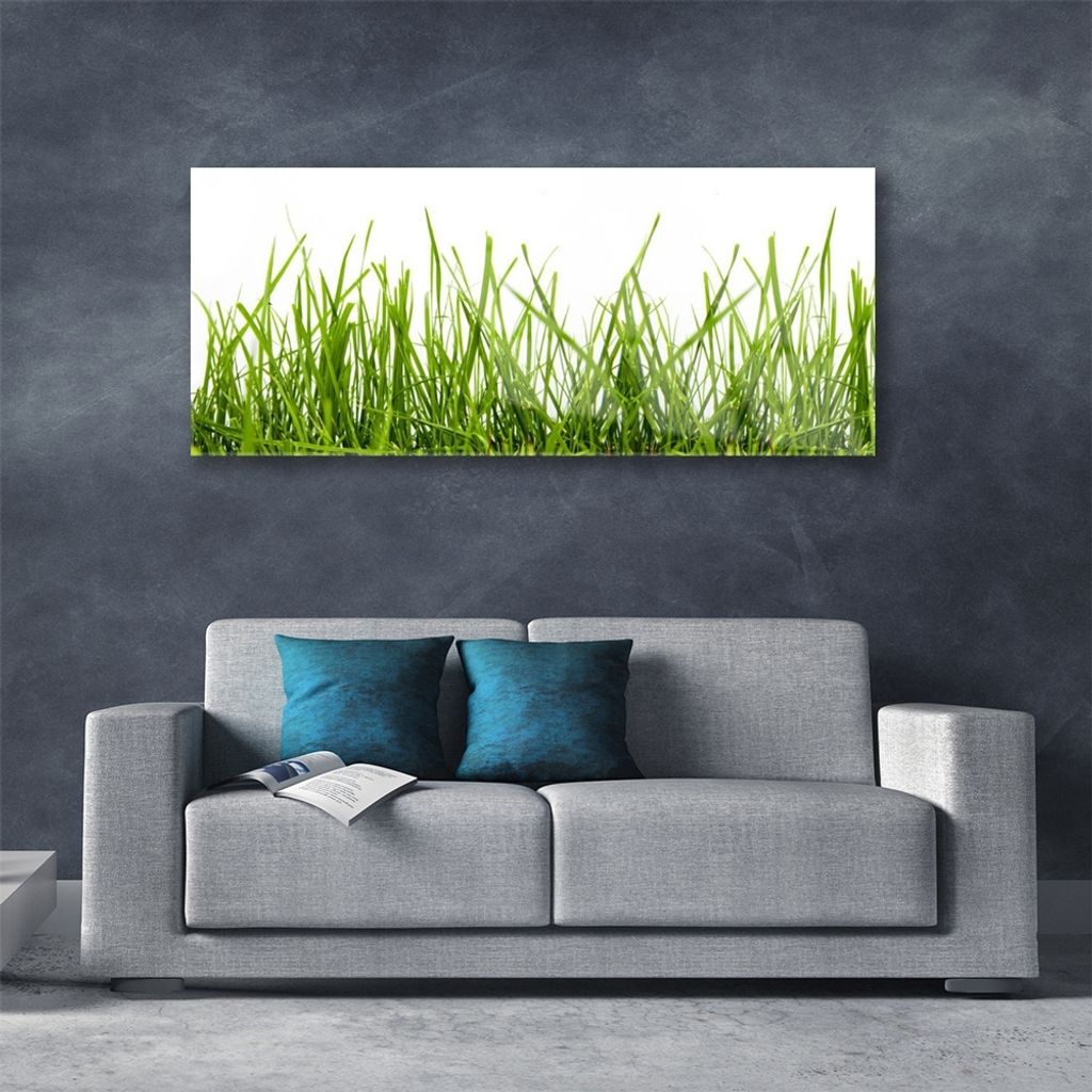 Acrylglasbilder 125x50 Wandbild Druck Gras Natur
