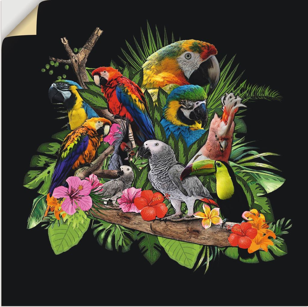 ARTland Wandbild, selbstklebend Papageien Graupapagei Kakadu Dschungel Größe: 70x70 cm