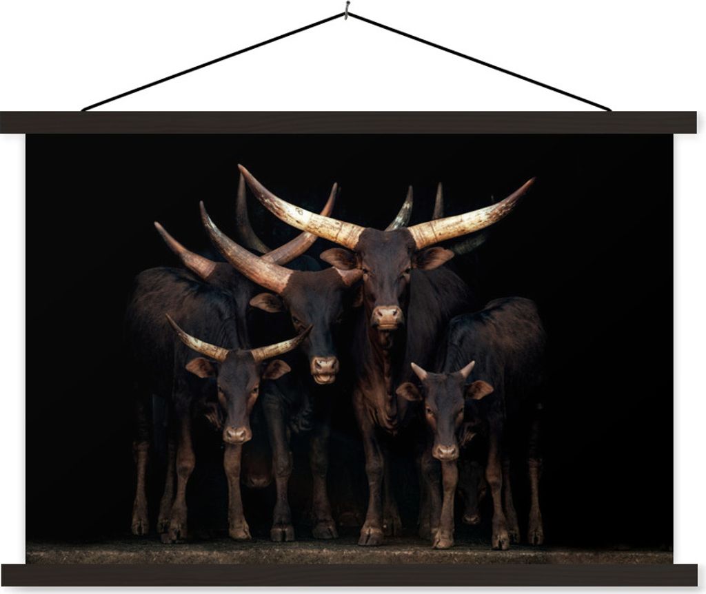 MuchoWow Textilposter Kühe - Watussi - Schwarz 90x60 cm mit schwarzem Rahmen - Aufhängungssatz