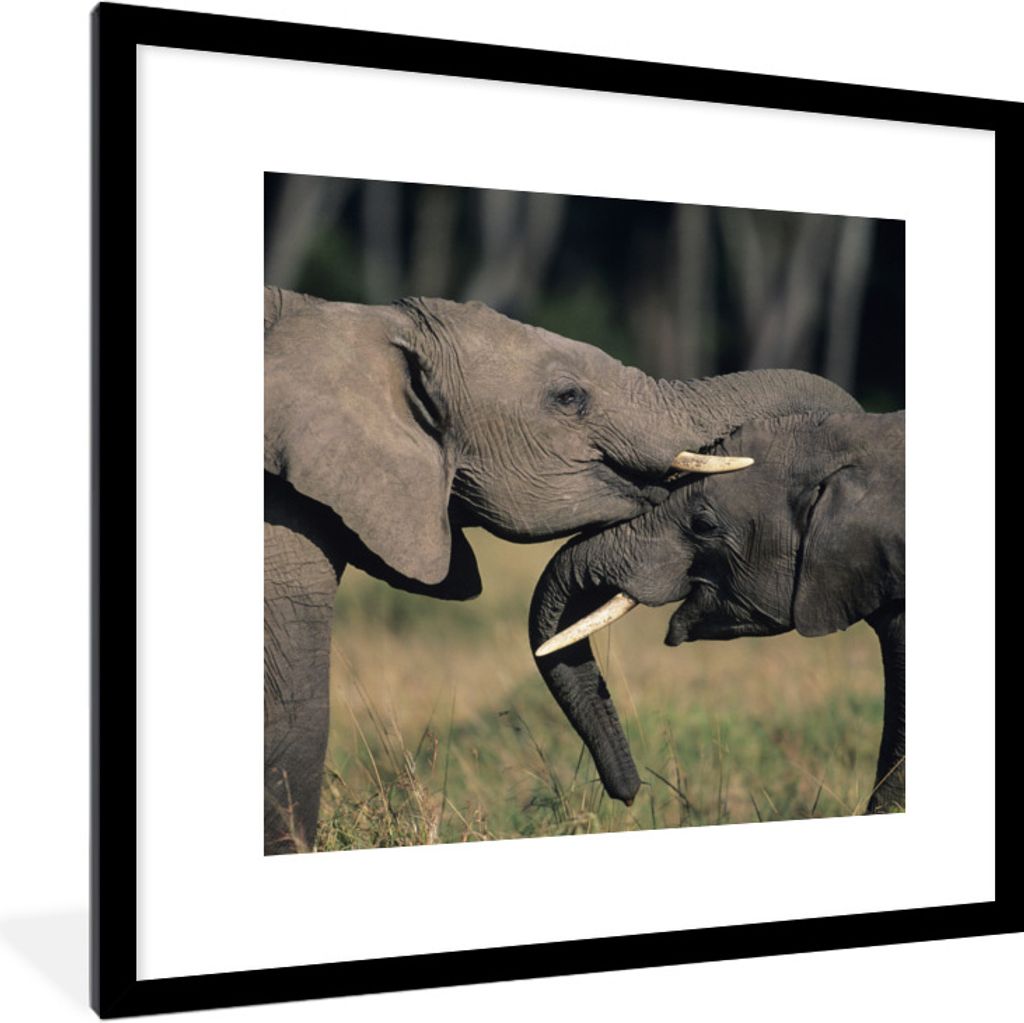 MuchoWow Gerahmtes Poster Fließende Elefanten 40x40 cm - Poster mit Schwarzem Bilderrahmen Wandposter Rahmen Foto Bilder - Poster - Plakat im Ra...