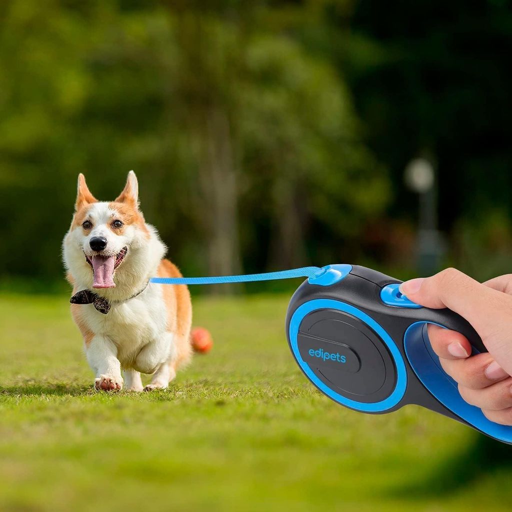 Verlängbare Hundeleine 3, 5 und 8 Meter - Einziehbare Flexible Leine für Hunde bis 50kg