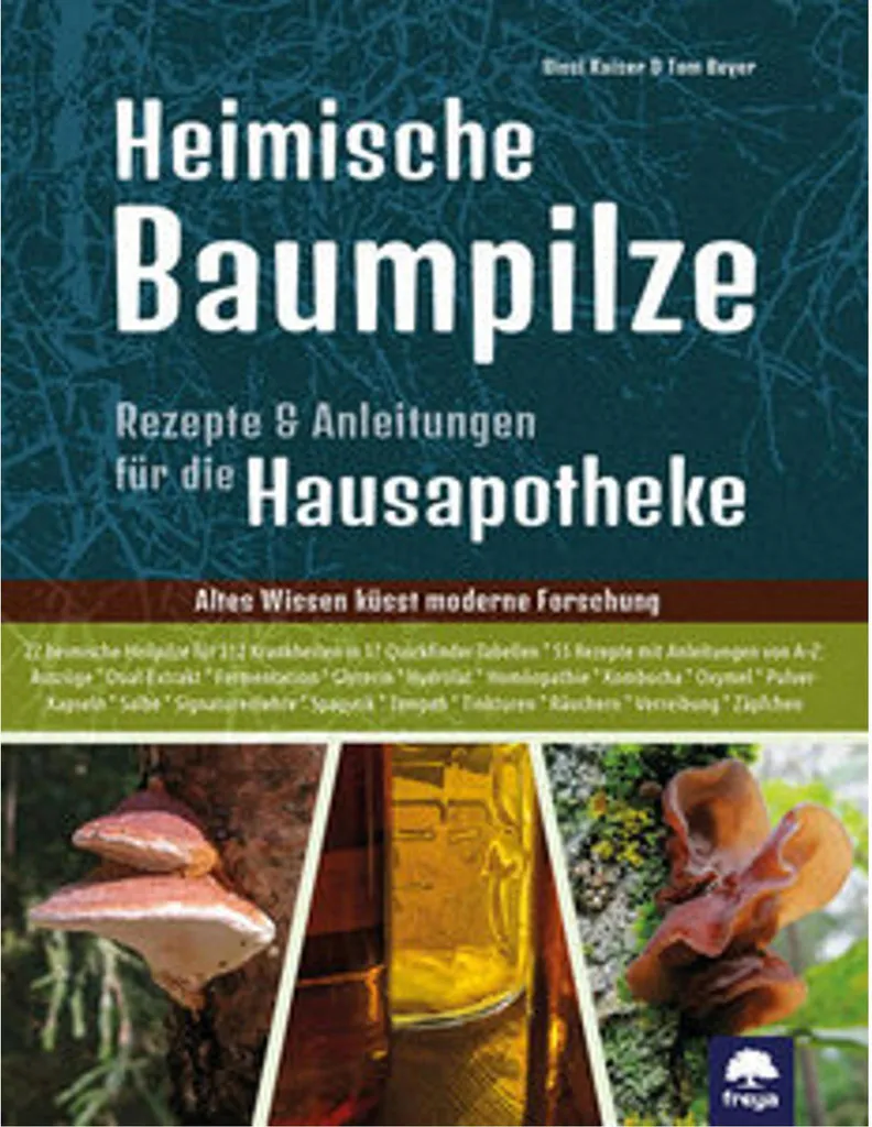 Champignons d'arbres indigènes pour jardin en permaculture - Kit 1kg