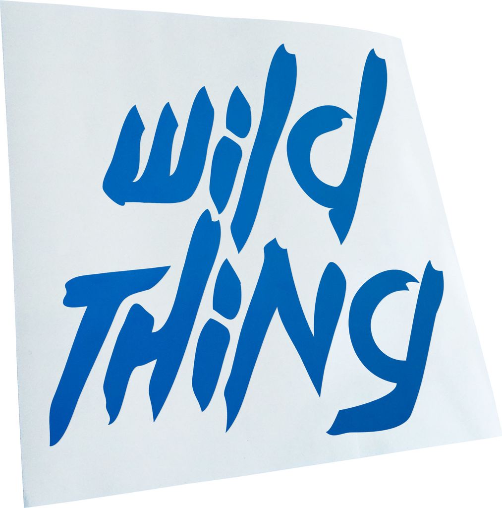 hauptsachebeklebt Kiwistar - Autoaufkleber - Wild Thing - Girl - Tussi Heckscheibe - Aufkleber für Auto Kfz Fahrrad, LKW, Truck Mofa