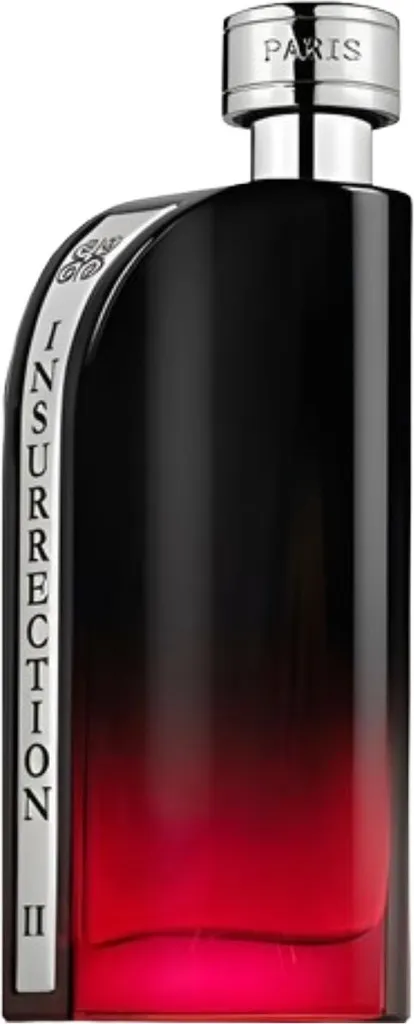 Insurrection II Dark EDT 90ml by Reyane Tradition | Eleganza Maschile