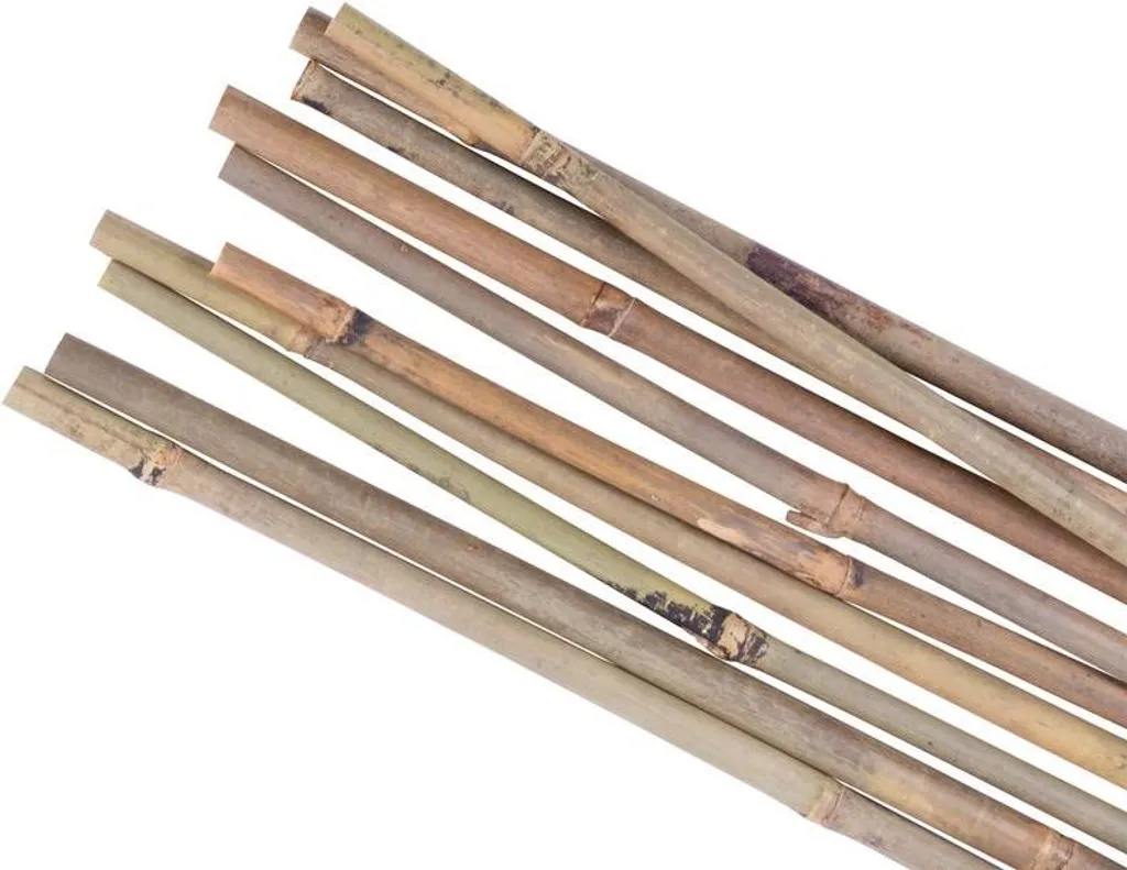 Tutori Professionali Garden KBT 1200mm - Bambù 10-12mm (10 pz)