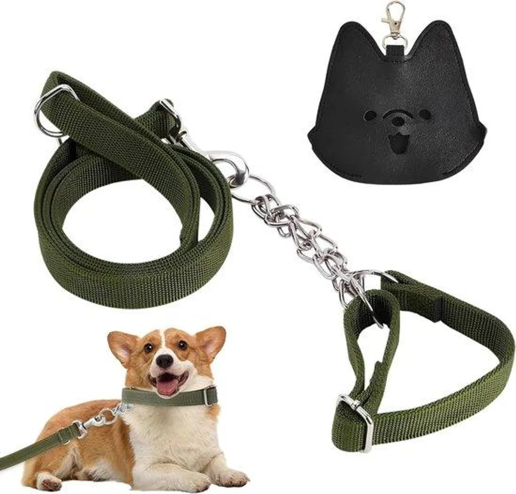 Laisse chien robuste anti-acide avec rotation 360° pour chien moyen