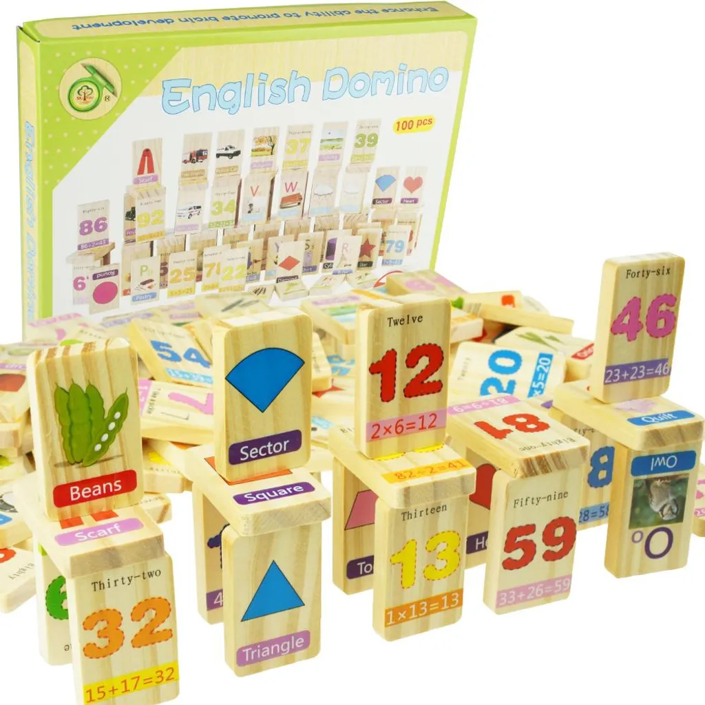 Jeu éducatif de dominos en bois : coffret de 100 pièces avec dessins