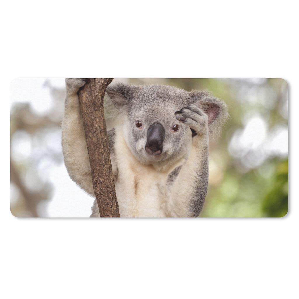 MuchoWow Mauspad Mousepad Koala - Äste - Tier - Kinder - Jungen - Mädchen 60x30 cm - Mousepads - Maus Mat - Pad - Mausunterlage - Nachhaltig