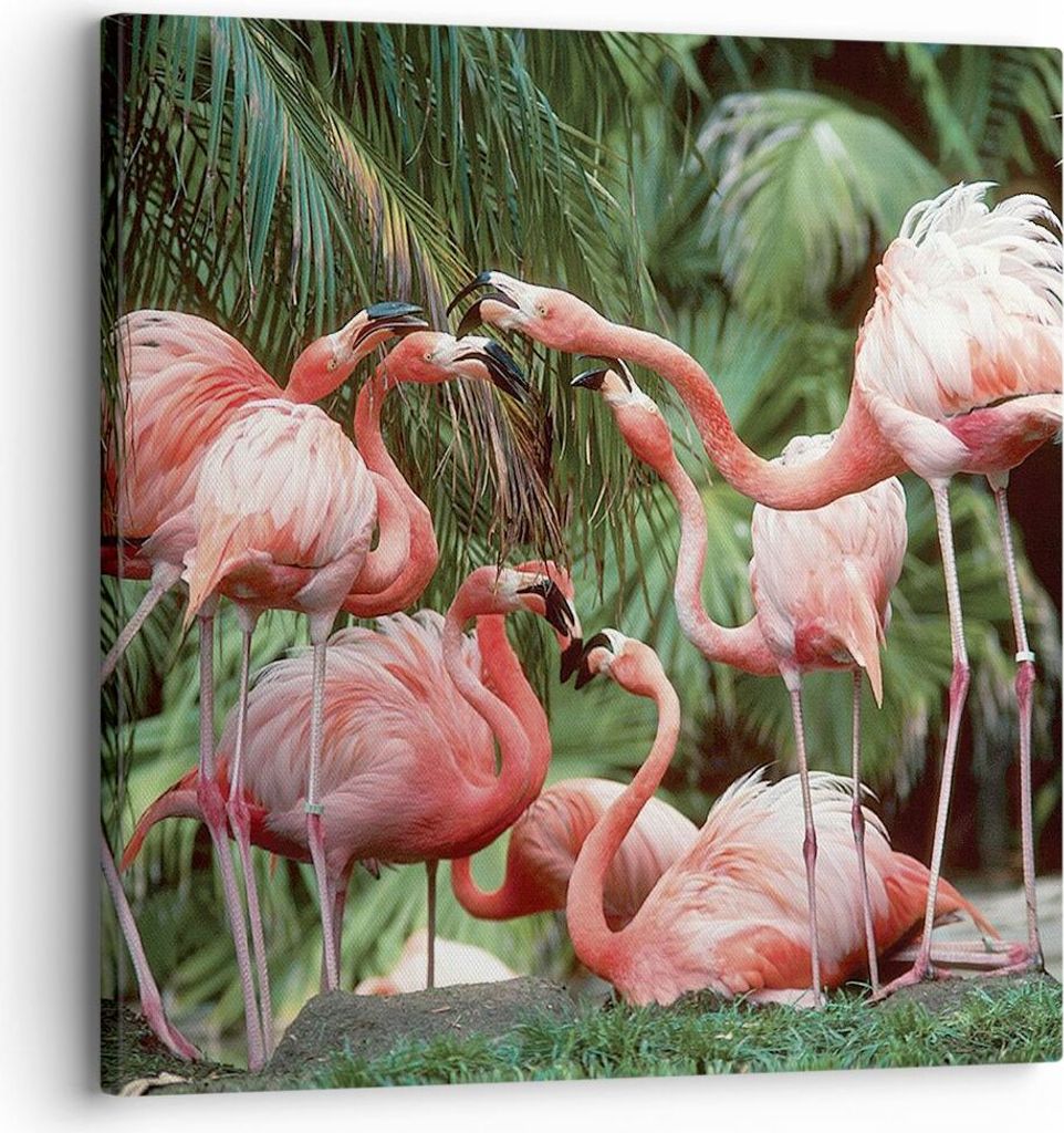 Bild auf Leinwand - Leinwandbild - Einteilig - Palmen Herde Flamingos - 30x30cm - Wand Bild - Wanddeko - Wandbilder - Leinwanddruck - Bilder - Wand...