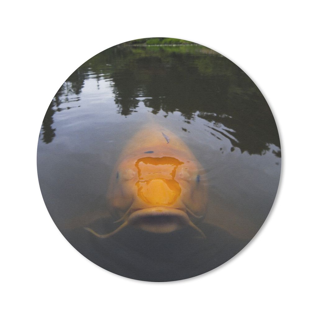 MuchoWow Mauspad Mousepad Ein riesiger Koi-Karpfen im Wasser 30x30 cm - Mousepads - Maus Mat - Pad - Mausunterlage - Tischunterlage - Schreibtisc...