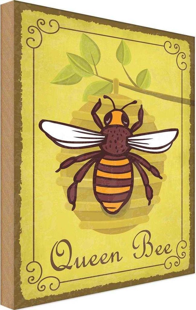 vianmo Holzschild 18x12 cm Queen Bee Biene Honig Imkerei Tier Haustier