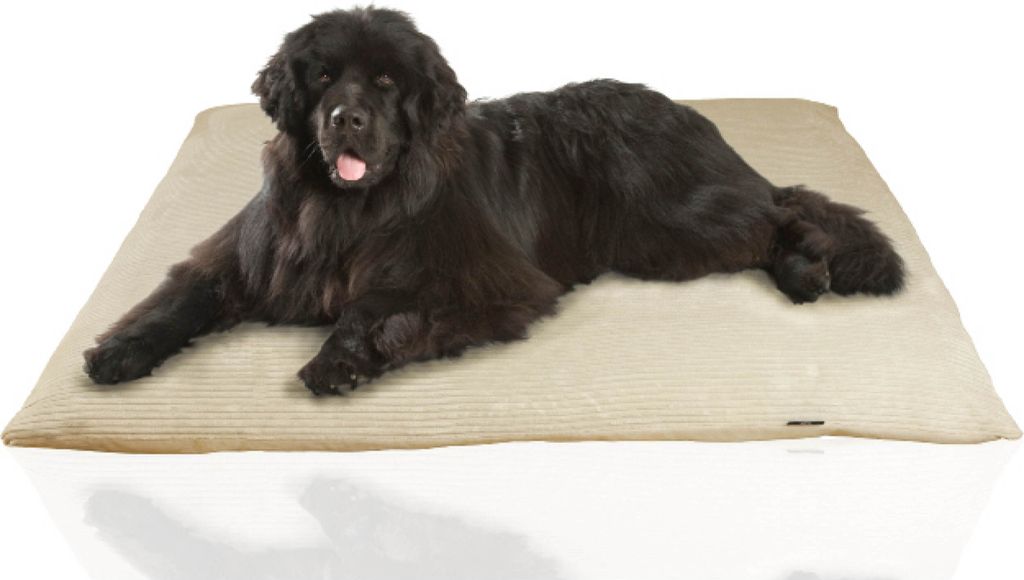 Rohrschneider Weiches Hundebett mit waschbarem Bezug | Gemütliches Hundekissen aus Cord | Premium Hunde Bettdecke | Hundebett waschbar | Kuschelig...