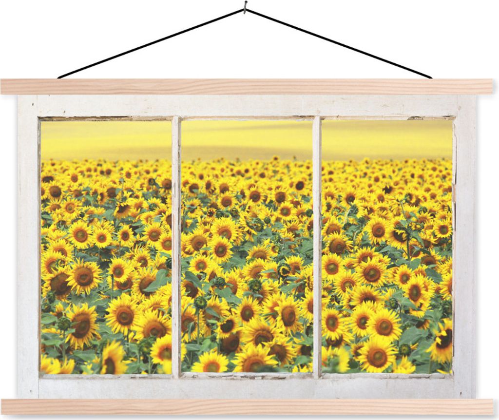 MuchoWow Textilposter Transparent - Sonnenblume - Gelb 60x40 cm mit holzfarbenen Rahmen - Bilder