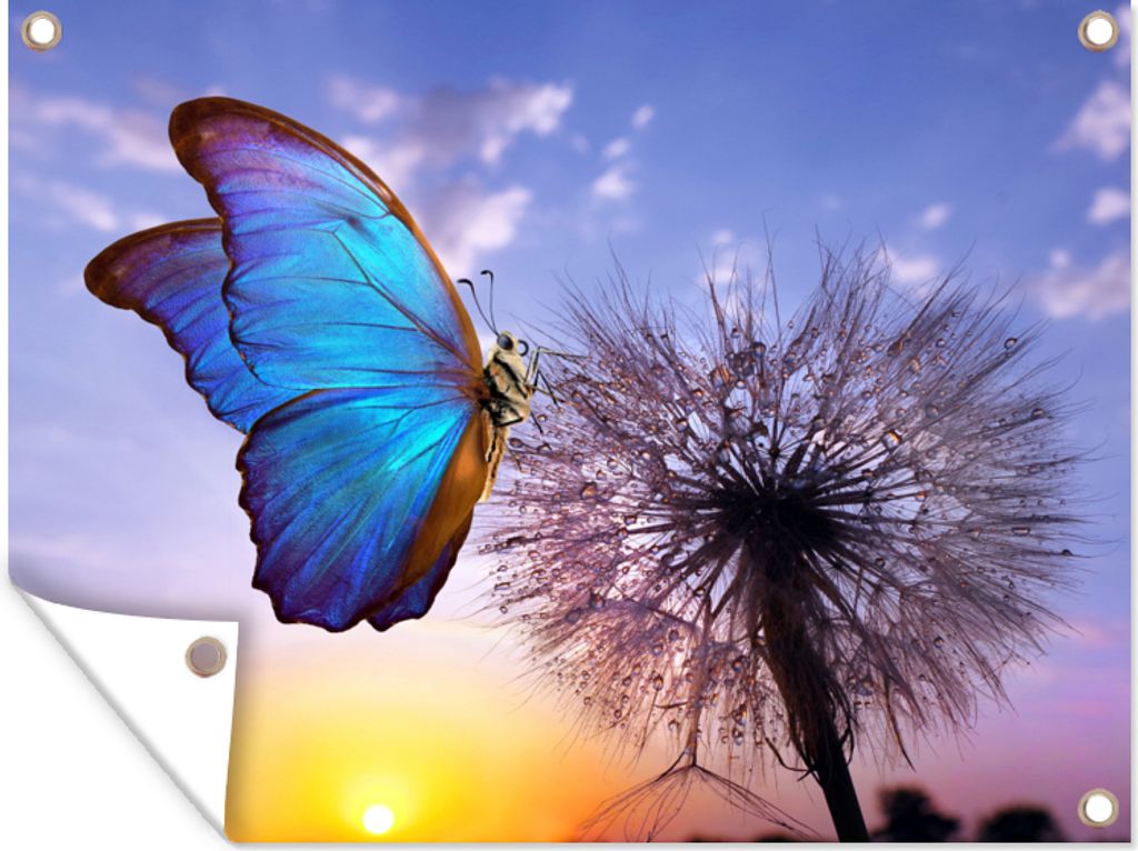 MuchoWow 120x90 cm Outdoor-Poster Gartendeko Sichtschutz Garten Poster für den Garten Schmetterling - Sonnenuntergang - Löwenzahn - Blau