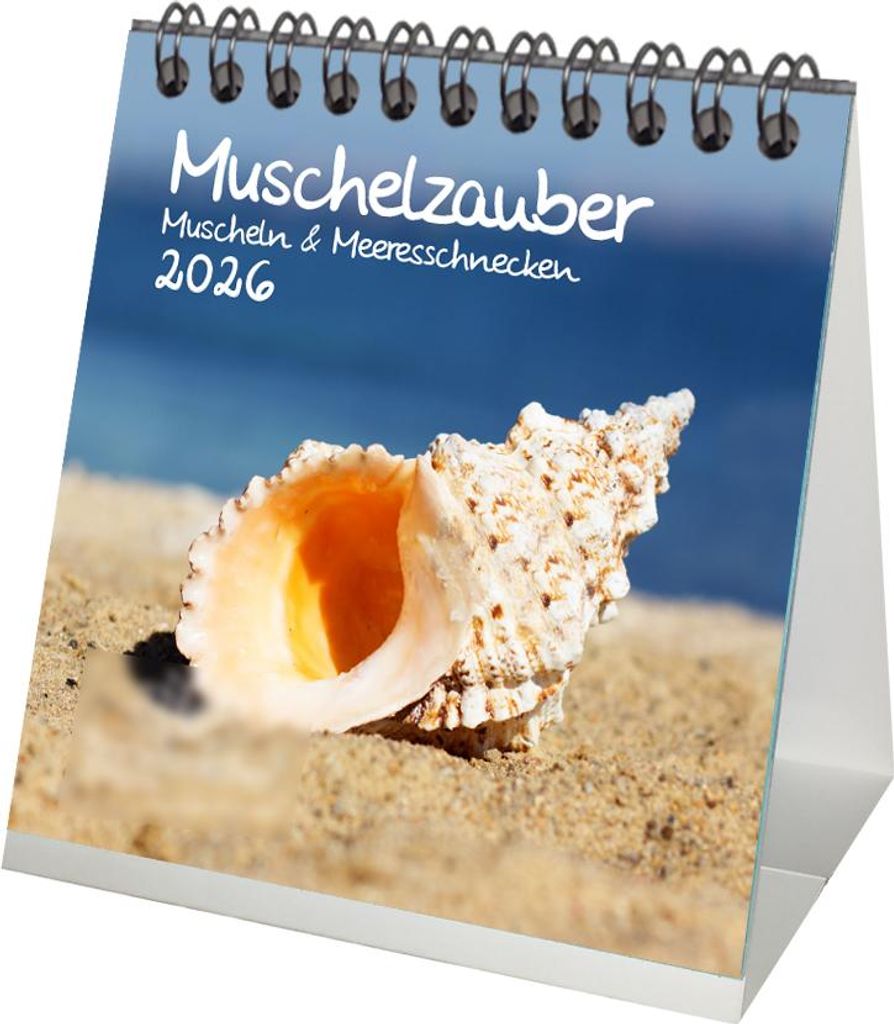 Muschelzauber Muscheln Tischkalender 10cm x 10cm für 2026 Meer Starnd - Set-Inhalt: 1x Kalender 1x Weihnachtsanhänger 1x Grußanhänger (gesamt 3...