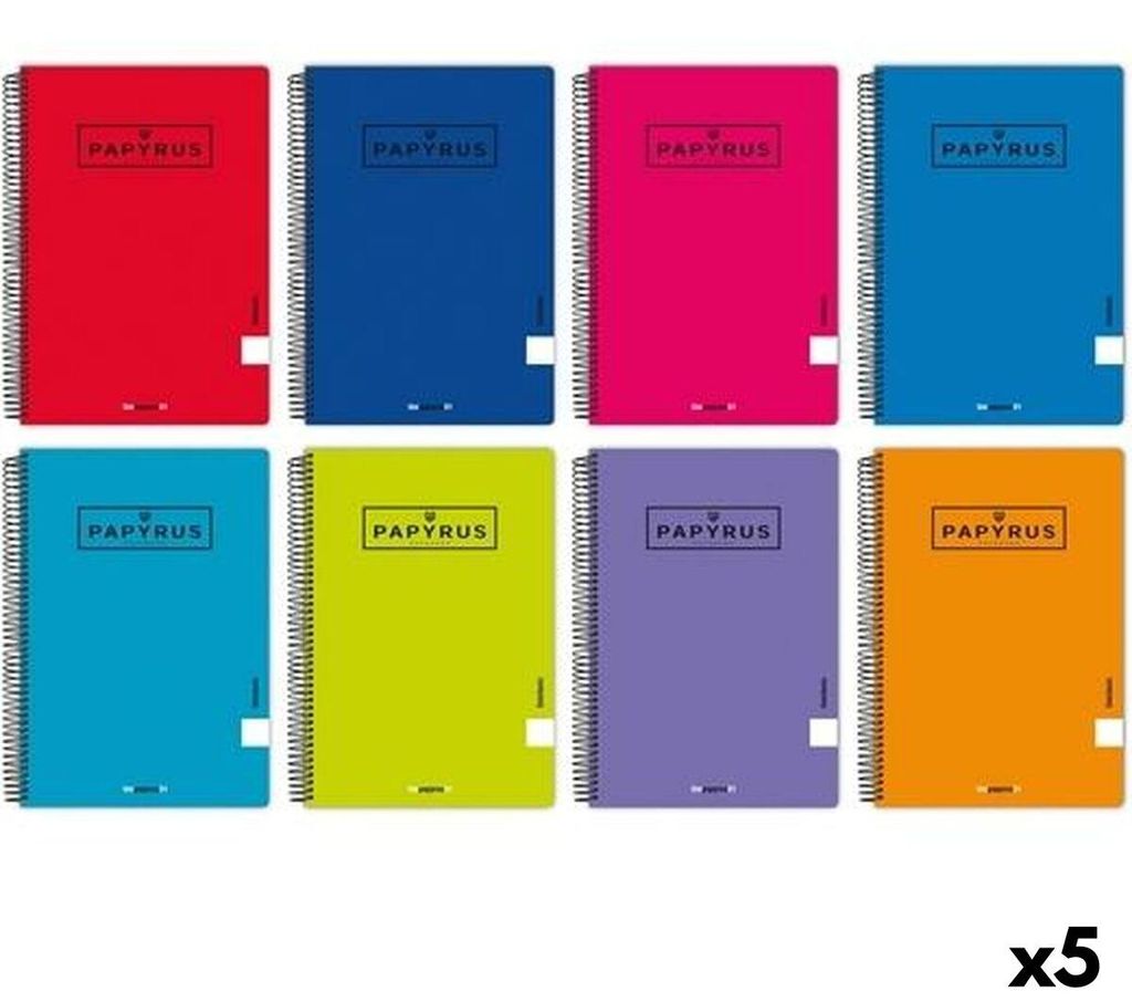 Notitieboek Papyrus 01-UNICLASIC, kwartformaat, 80 Productafbeelding 