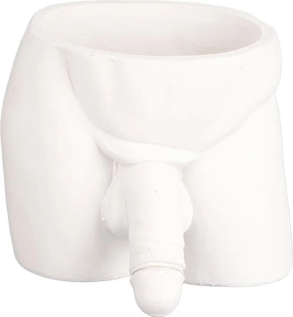 Pot de fleur stable pour succulentes, fini les chutes de vos plantes