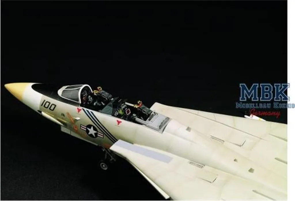 F-14A Tomcat 12253, Maquette 1/48 à Géométrie Variable Très Détaillée - 5