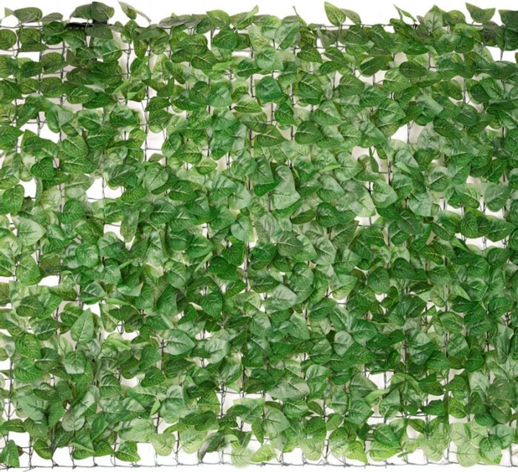 hedera helix glacier Glacier Ivy Plant  Hedera Helix Glacier Ivy 4" Pot / Self Watering / With Pot