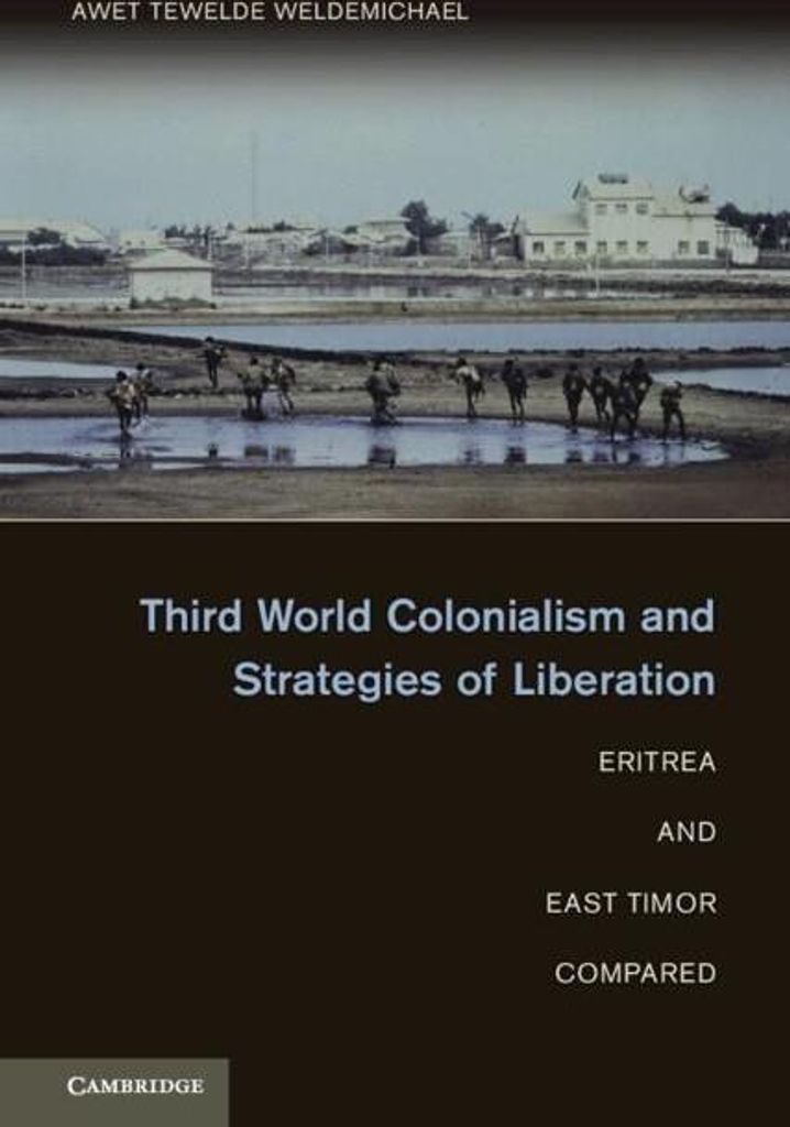 Third World Colonialism and Strategies of Liberation