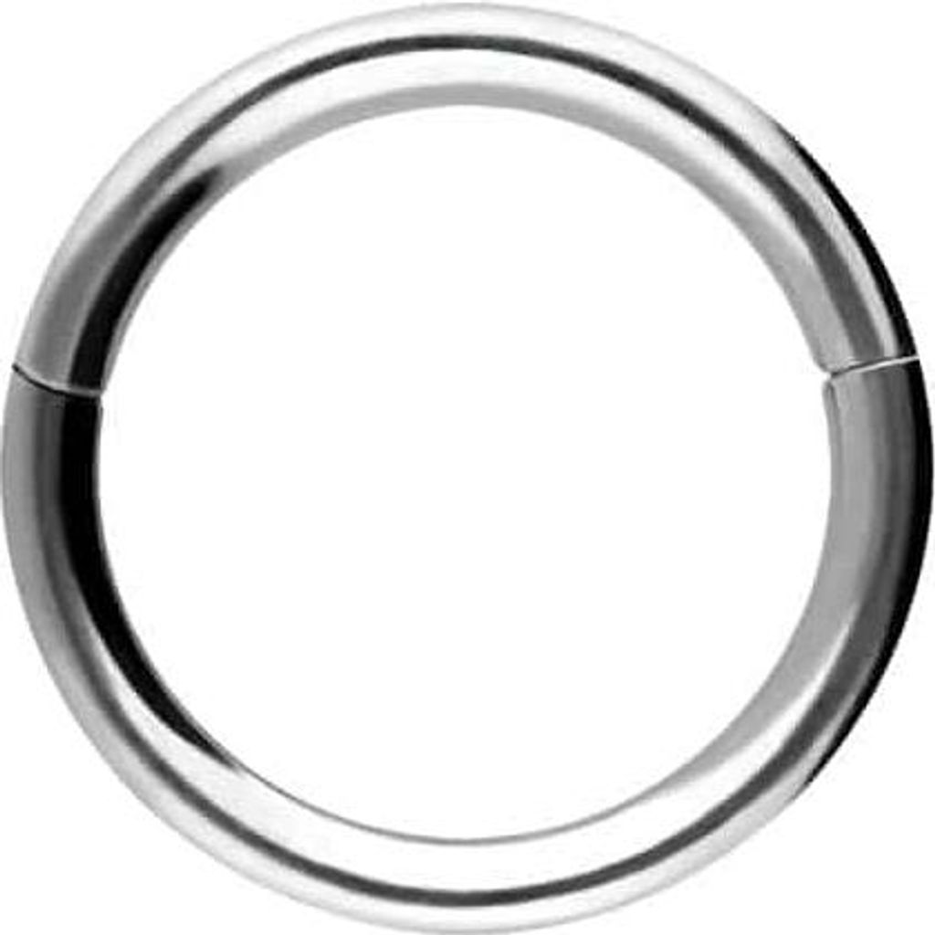 Ohrpiercing, Nasenpiercing, Septum Piercing Chirurgenstahl Segmentring Clicker Silber Innendurchmesser: 6mm + Stabstärke: 0,8mm