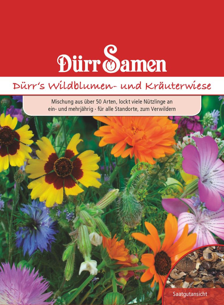 Blumen- und Kräuterwiese | Samenmischung von Dürr Samen Produktbild 