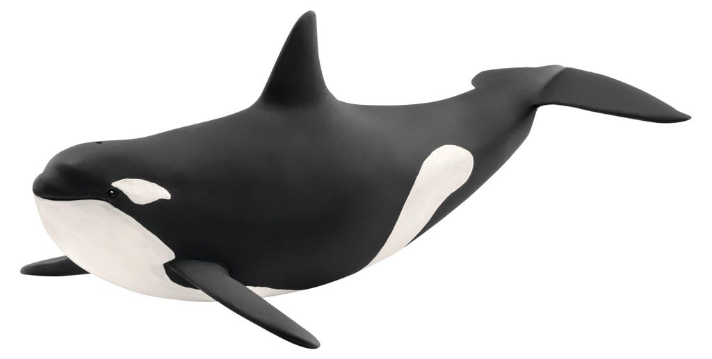 Wild Life Orka Produktbild 