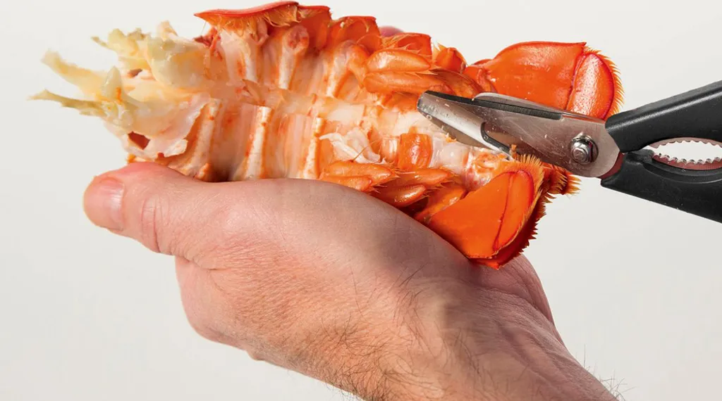 Ciseaux de cuisine haute qualité pour mollusques à coupe inversée 18cm - 14