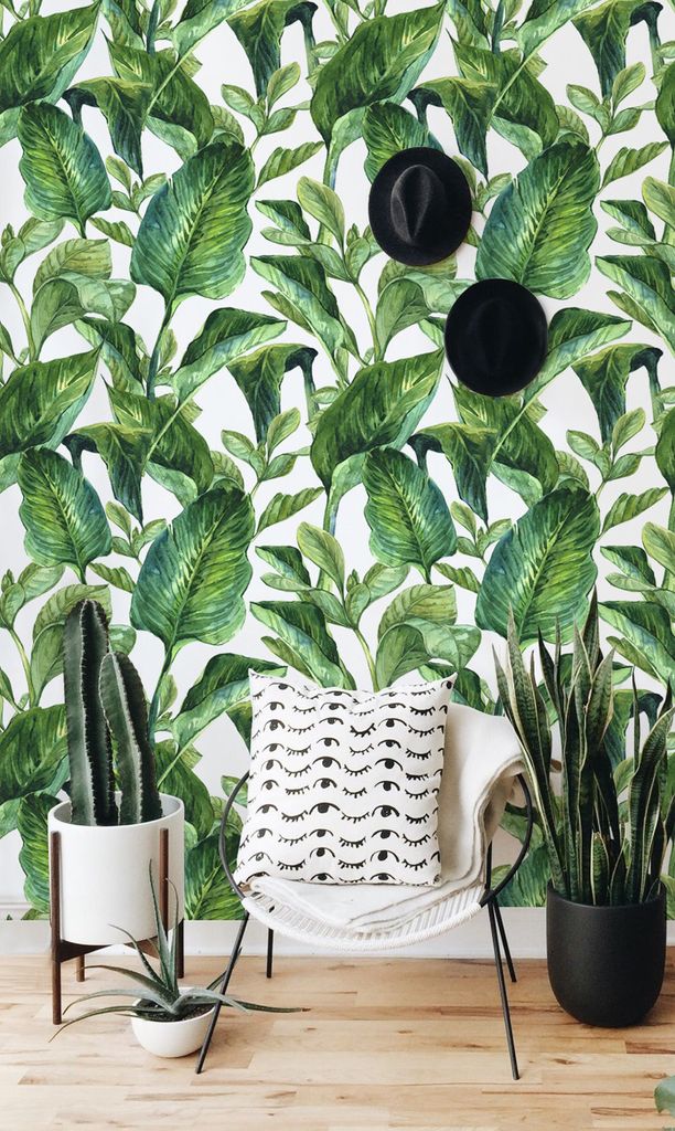 Coloray Fototapete 250x250 cm Vlies-Fototapete - Botanisches Blumen