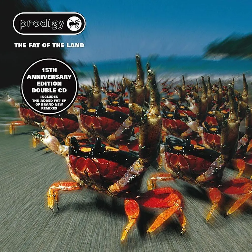 Album Double CD The Prodigy Fat Of The Land Musique Électronique Culte