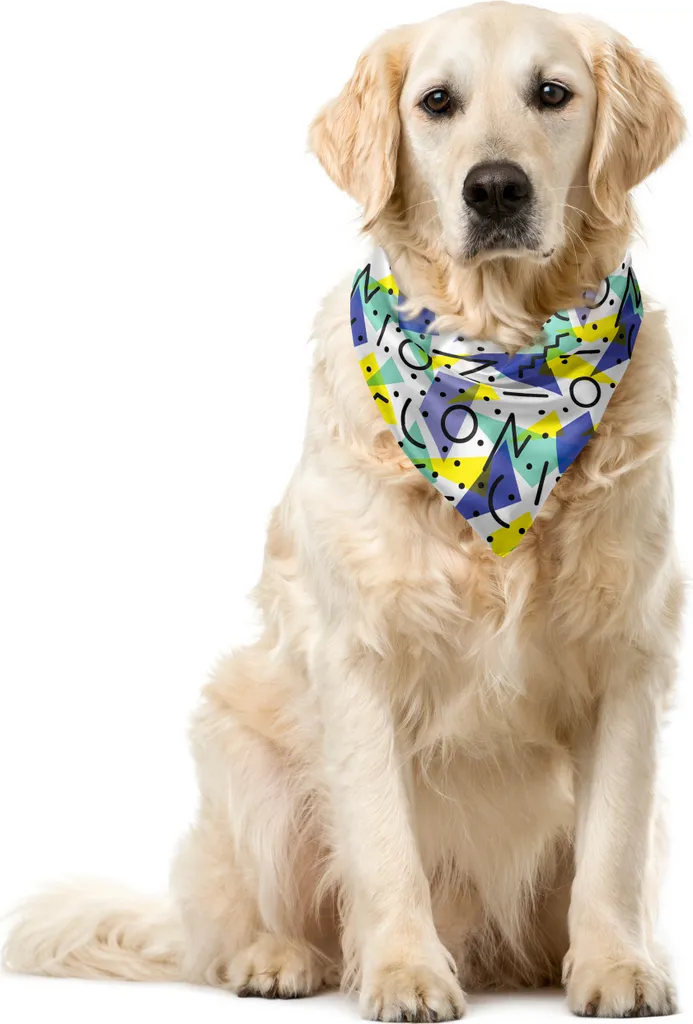 Bandana Cane Retro Geometrica Blu Giallo 40x40 - Accessorio Pet Style