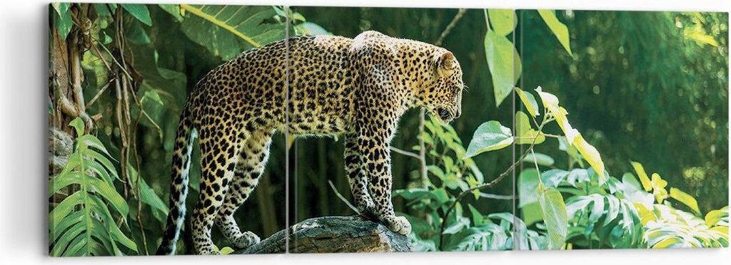 Bild auf Leinwand - Leinwandbild - 3 Teile - Dschungel Leopard Panther - 120x40cm - Wand Bild - Wanddeko - Wandbilder - Leinwanddruck - Bilder - Wa...