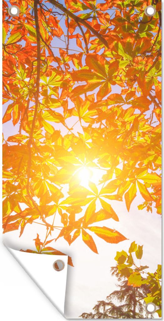 MuchoWow 30x60 cm Outdoor-Poster Gartendeko Sichtschutz Garten Poster für den Garten Foto eines Kastanienbaums in Madrid, Spanien