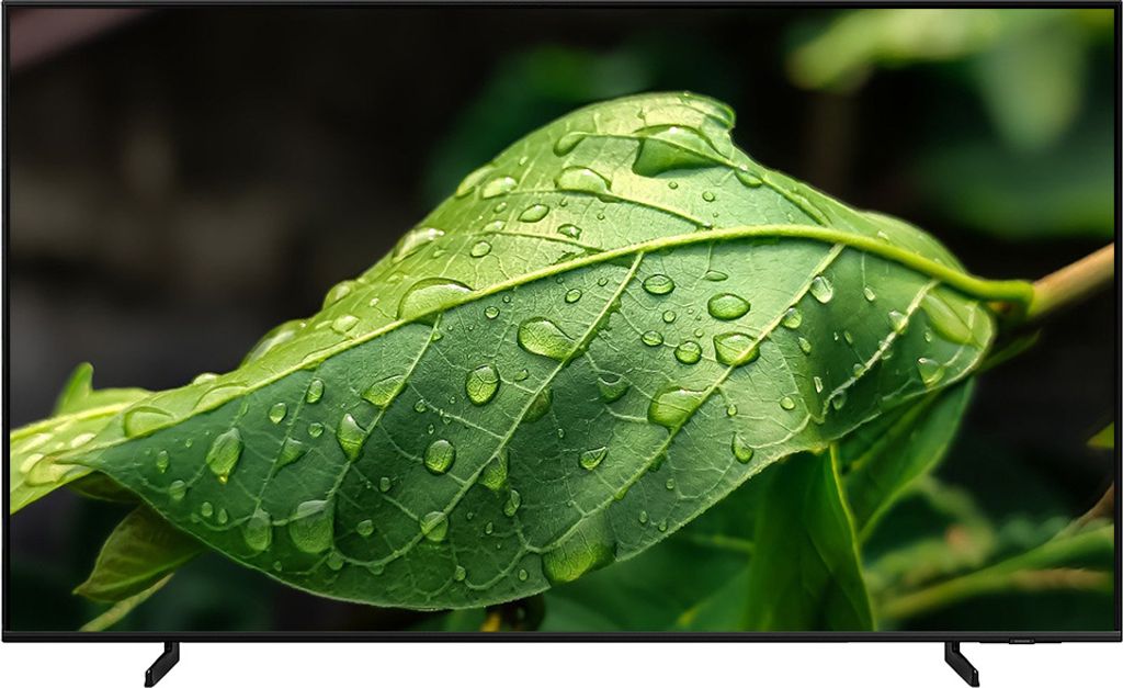 A close-up of a green leaf with water droplets on it, displayed on a TV screen.