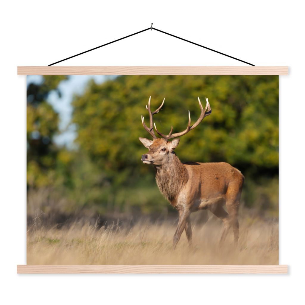 MuchoWow Textilposter Tiere - Hirsche - Geweihe - Waldtiere - Natur 40x30 cm mit holzfarbenen Rahmen - Bilder